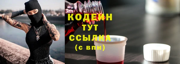 крисы Арсеньев