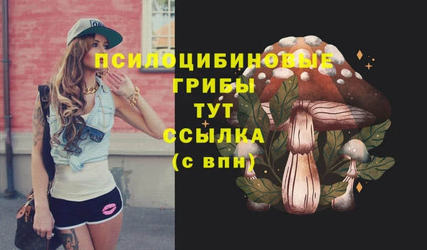ешки Аркадак