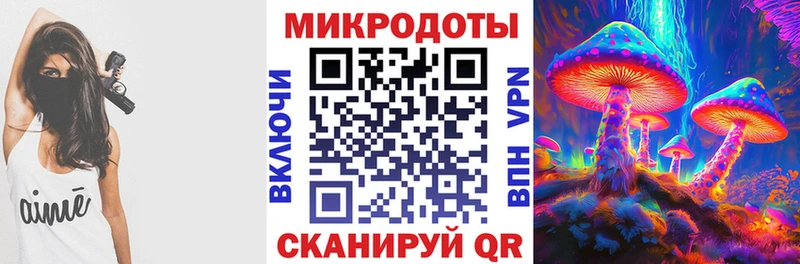 Псилоцибиновые грибы Cubensis  купить   Ясногорск 