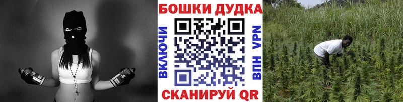 Каннабис VHQ Ясногорск